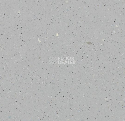 Линолеум Forbo SureStep Original 172862 silver grey фото 1 | FLOORDEALER